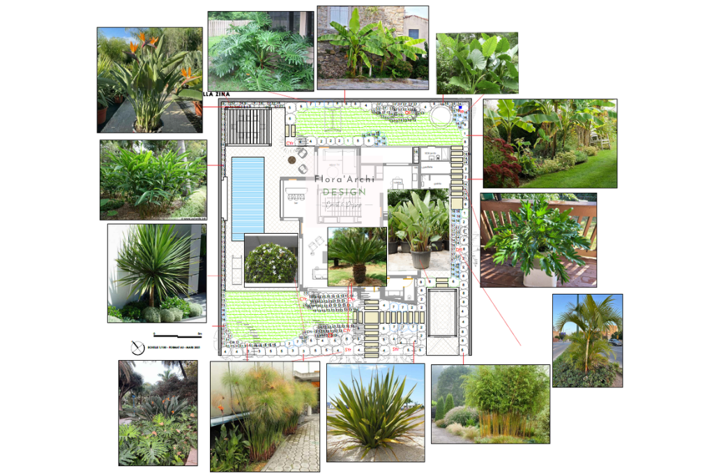 Photo 5 de Flora Archi Design