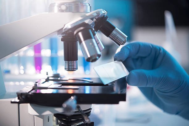 Photo 3 de LABORATOIRE D'ANALYSES MÉDICALES DAR ESSALAM