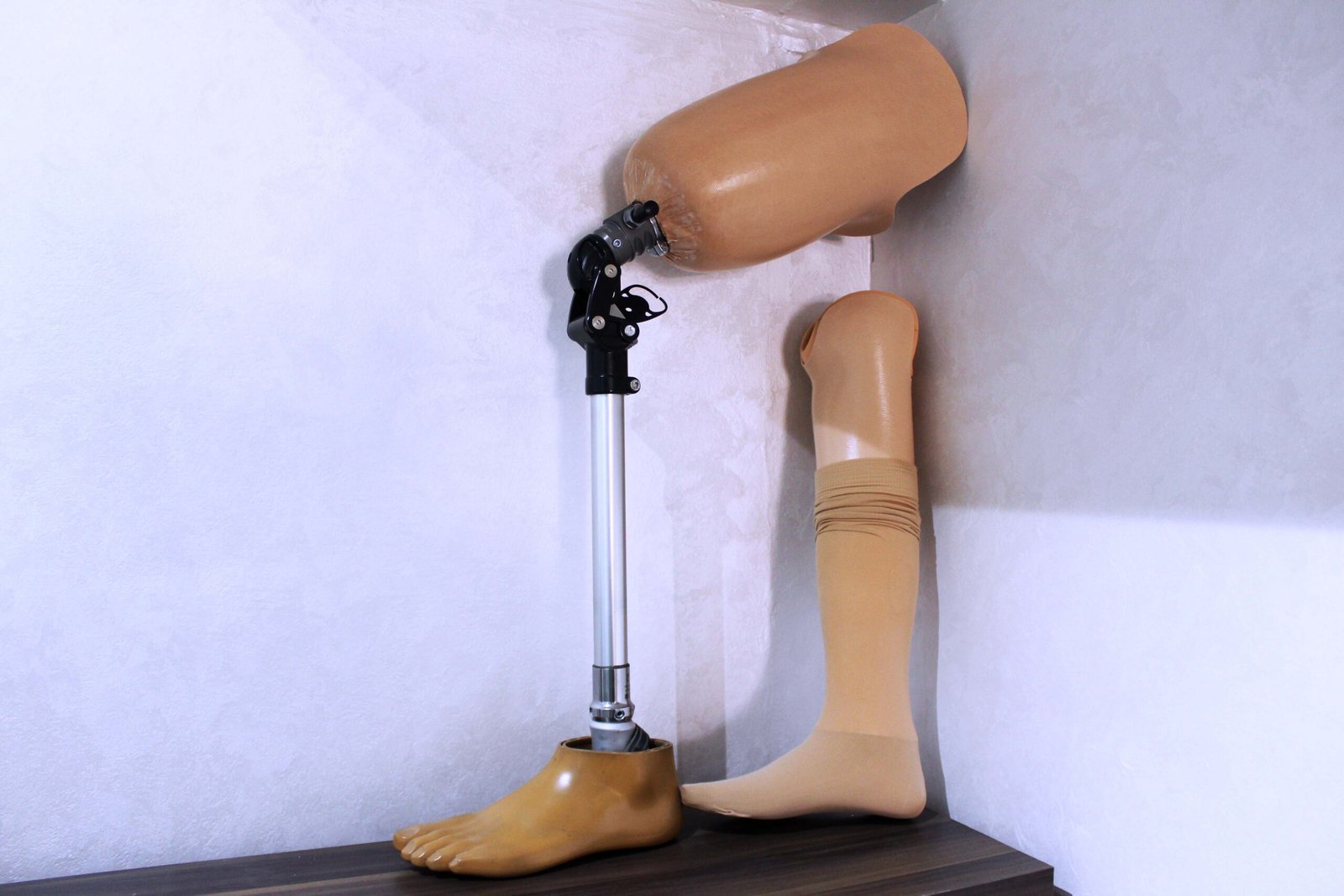 Photo 21 de Ortho Confort