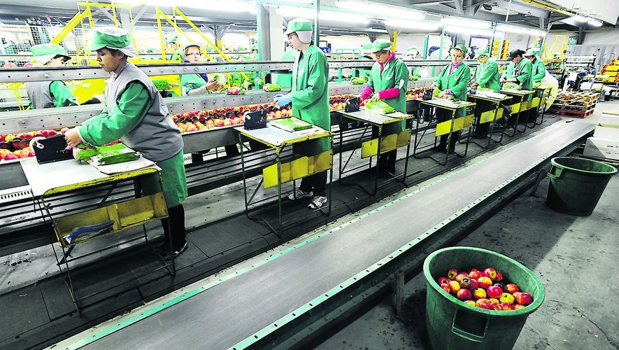 agro-alimentaire Rabat