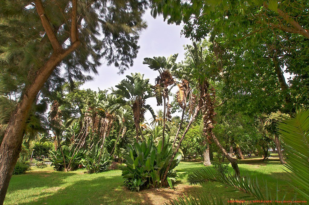 jardin Nouzhat Hassan4